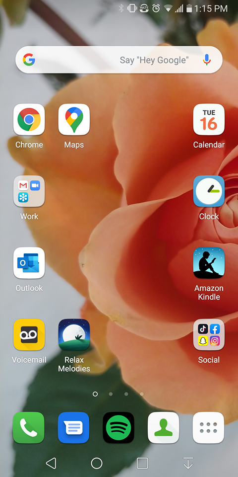 proof that I put social apps in a folder